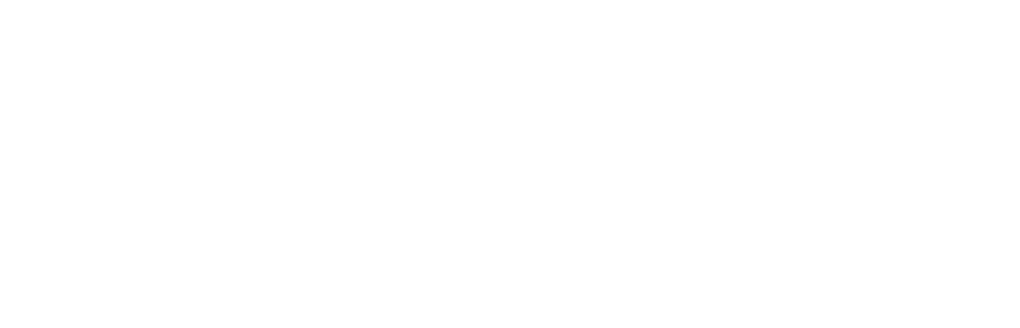 Criminal Justice