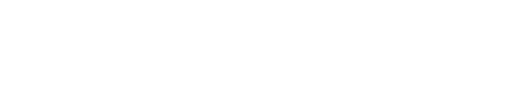 The Contractor
